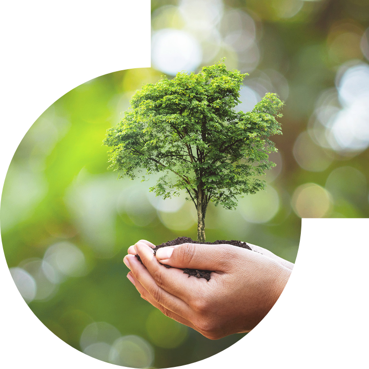 關懷人類、文化、環境與社會