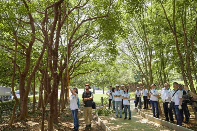 藝師教導大家認識樹木、檢查樹的健康狀況，學習修枝及碎枝覆土