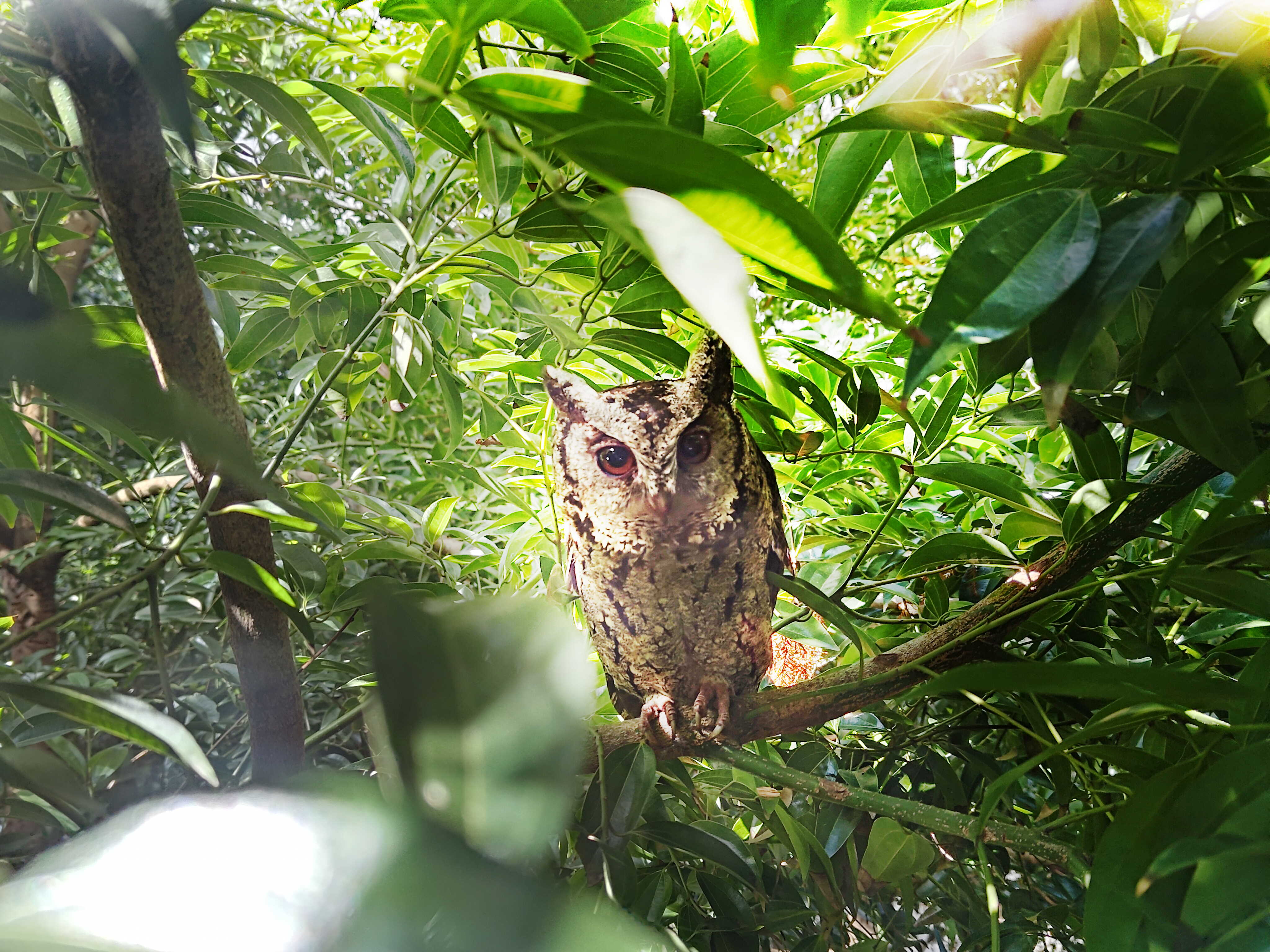 bb贝博Ballbet致力提倡净零绿生活，16年以来在全球各厂区植树逾百万棵，造就各厂区树木蔚然成林，犹如森林工厂，成为许多生物的栖息地